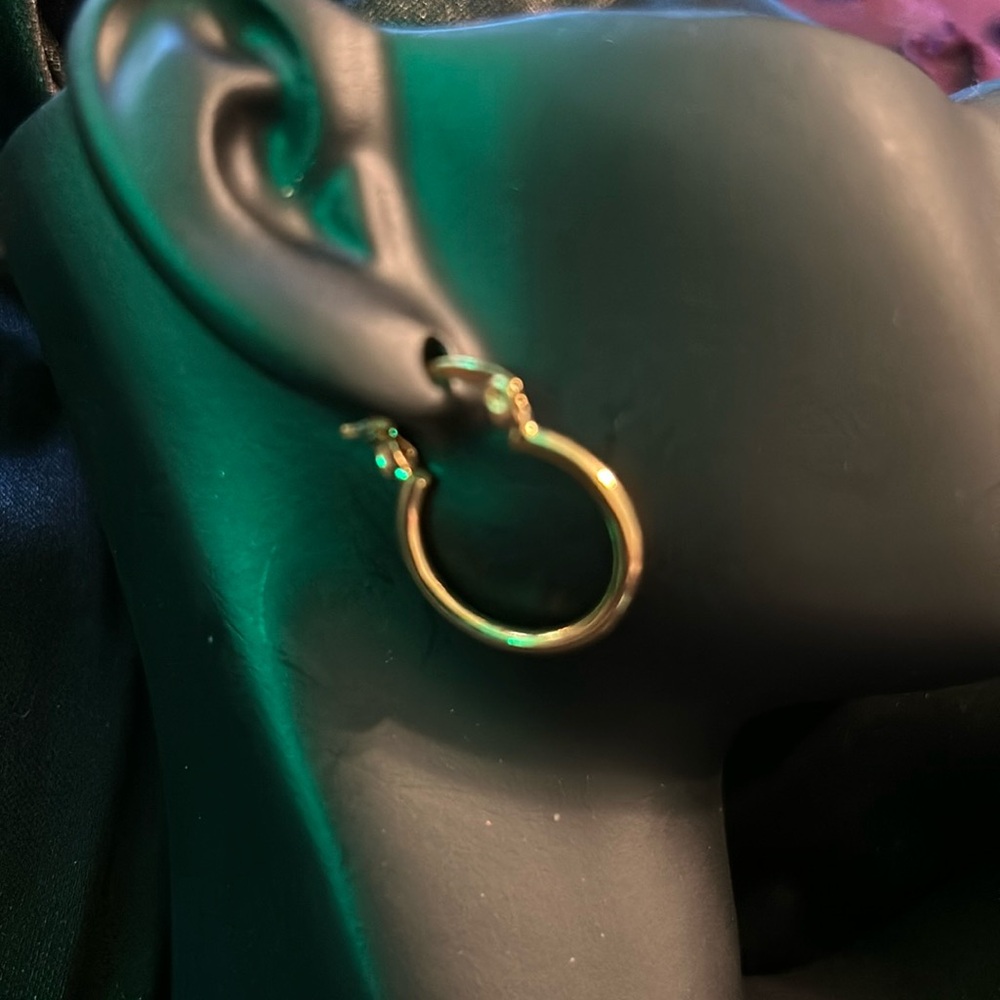 Small Gold Hoop Earrings